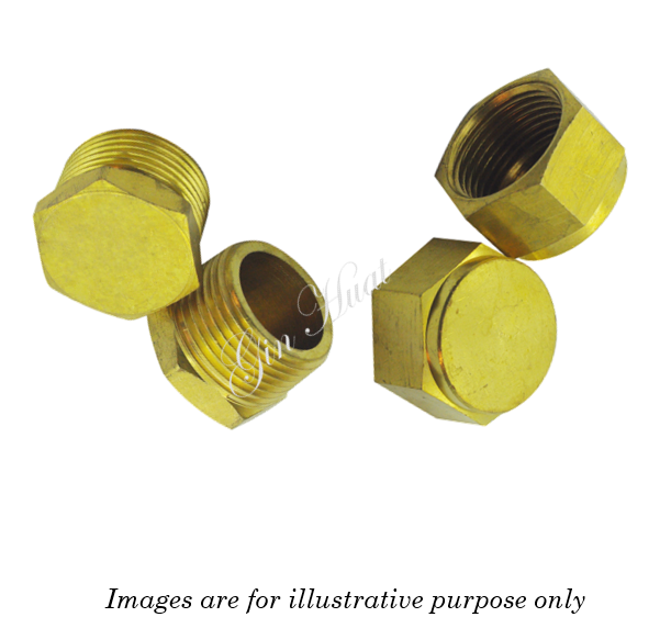Brass Cap & Plu