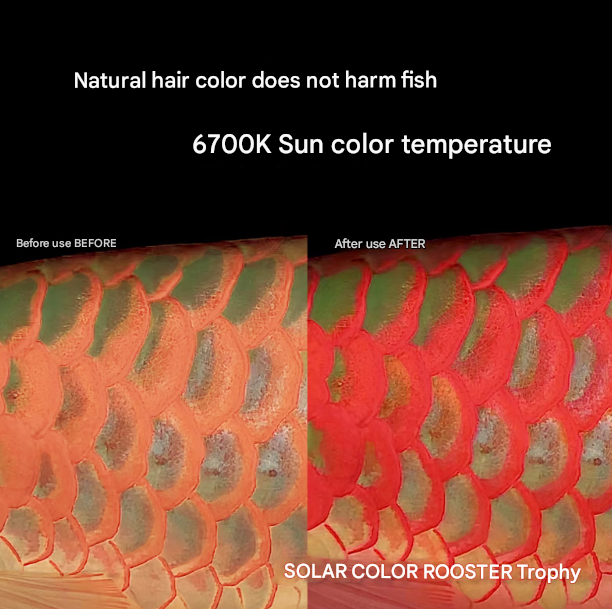 Neo Helios Solar Color Booster Light For Fish Tanning